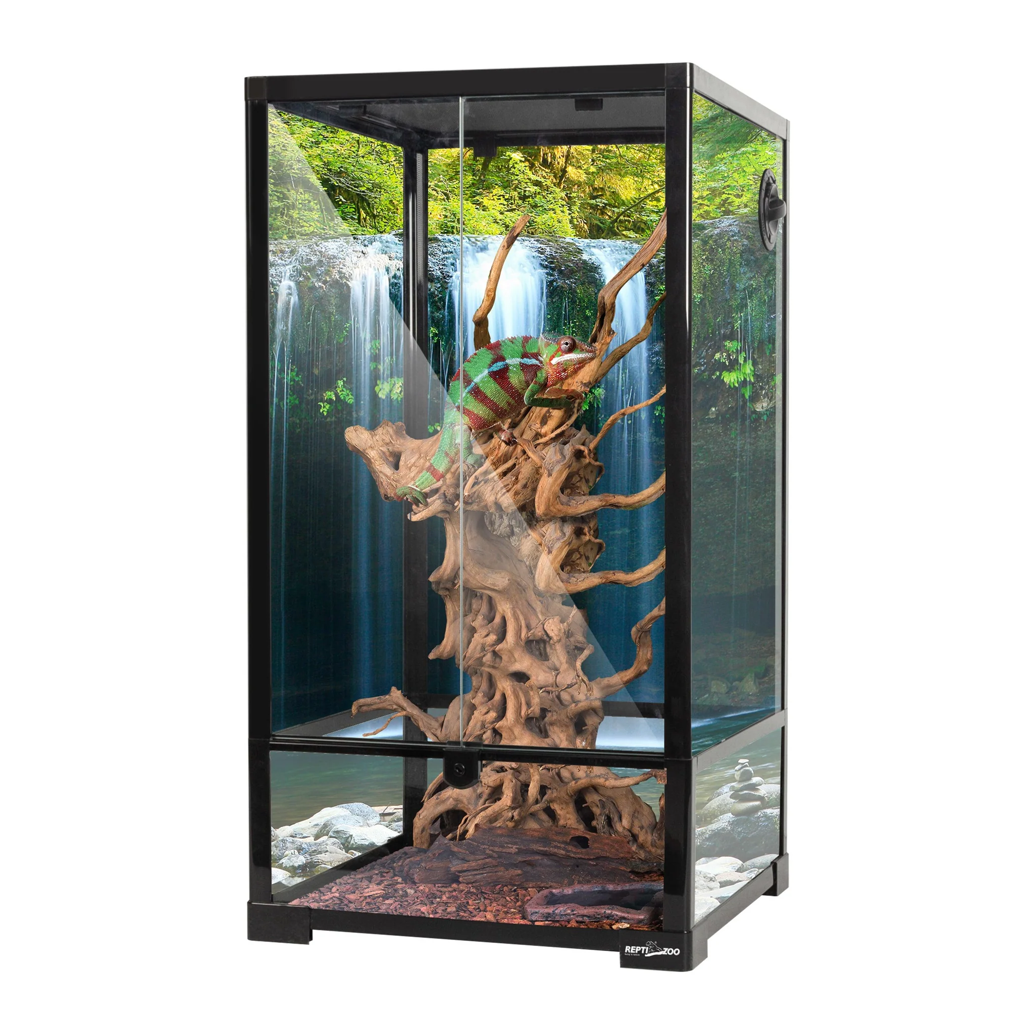 gady terrarium